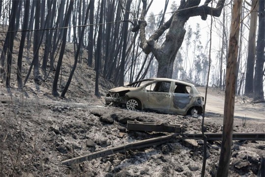 Đường cao tốc dẫn đến địa ngục ở Bồ Đào Nha - Ảnh 1.