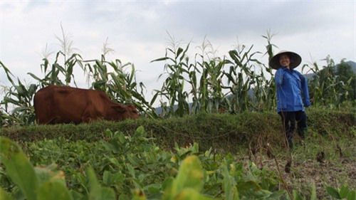su manh me cua nguoi phu nu cham con bang... chan! - 10