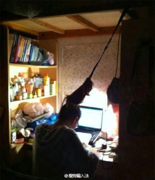 loat anh "kho luyen" ba dao truoc ngay thi cu hinh anh 3