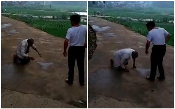 Cha già 90 tuổi quỳ rạp lạy con khiến dư luận dậy sóng - Ảnh 2.