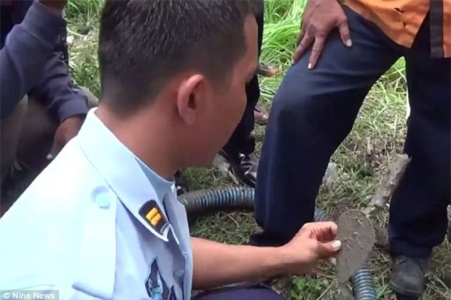 Vượt ngục ngoạn mục ở Bali: Đào đường hầm xuyên tường để trốn - Ảnh 3.