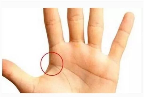 Nhìn xuống bàn tay xem có 3 vân này không? Tay trái thì quyền lực, tay phải phát tài, tiền đếm không hết - Ảnh 2.