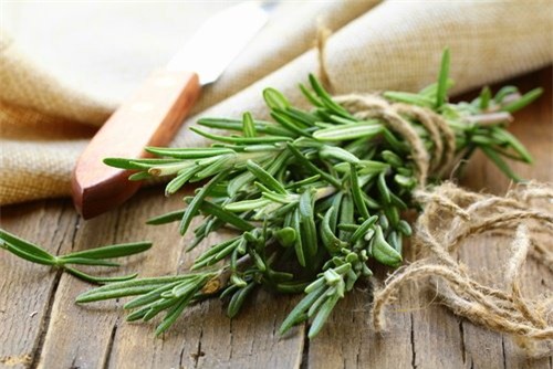 Chỉ với 2 nguyên liệu đơn giản, đổi đời luôn cho làn da nhiều dầu, lỗ chân lông bít tắc - Ảnh 2.