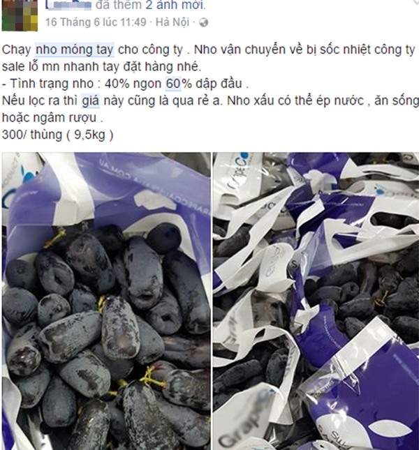 Hà Nội: Chị em rần rần lùng mua nho nhập khẩu sang chảnh giá siêu rẻ - Ảnh 1.