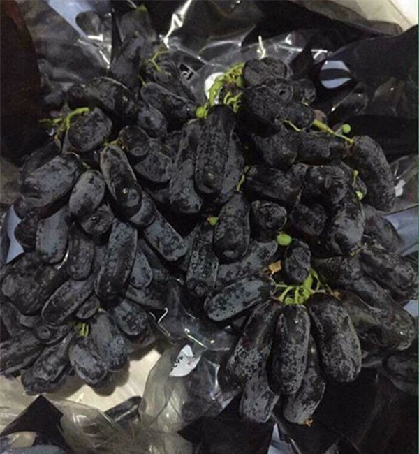 Hà Nội: Chị em rần rần lùng mua nho nhập khẩu sang chảnh giá siêu rẻ - Ảnh 2.