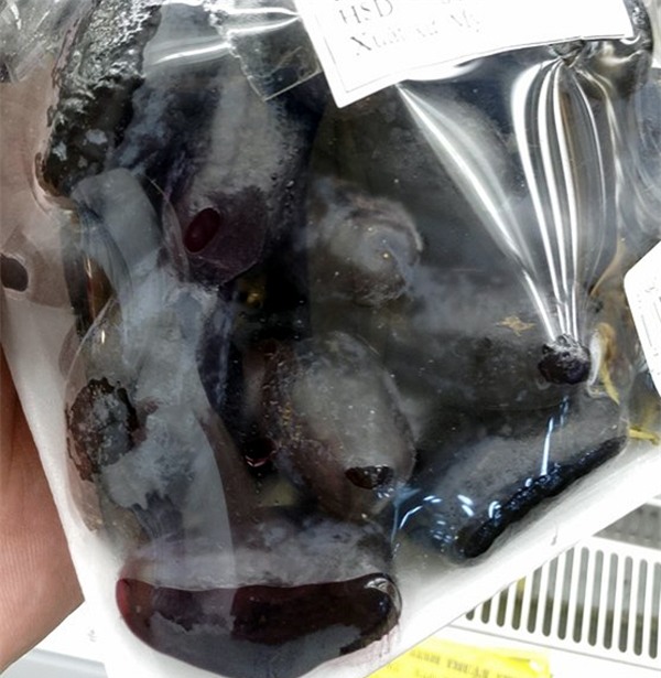 Hà Nội: Chị em rần rần lùng mua nho nhập khẩu sang chảnh giá siêu rẻ - Ảnh 4.