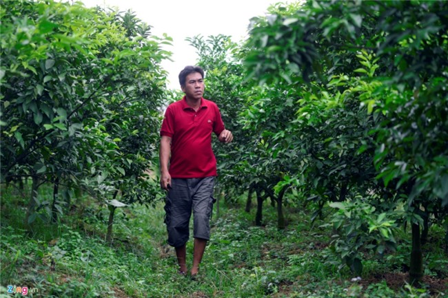 Chuyen la o vua vai thieu lon nhat mien Bac hinh anh 4