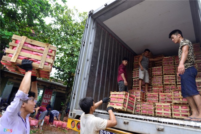 Chuyen la o vua vai thieu lon nhat mien Bac hinh anh 11