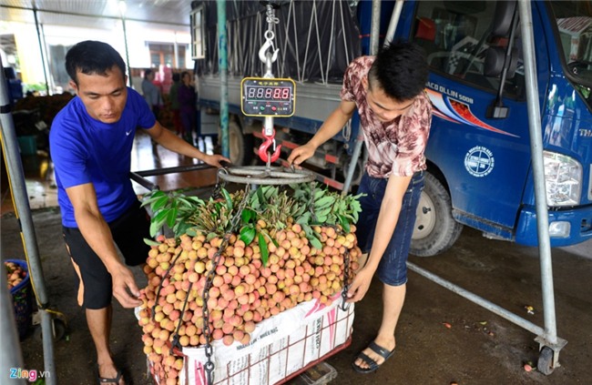 Chuyen la o vua vai thieu lon nhat mien Bac hinh anh 12
