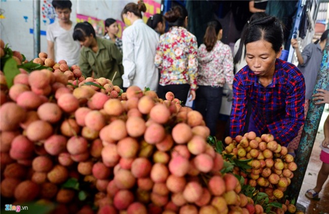 Chuyen la o vua vai thieu lon nhat mien Bac hinh anh 13