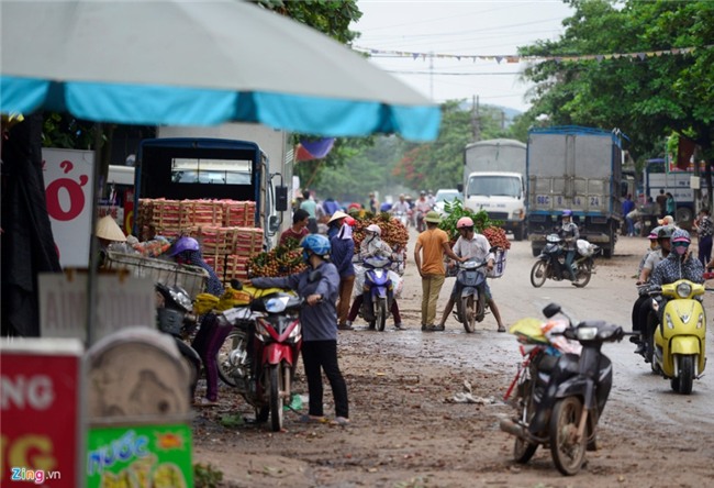 Chuyen la o vua vai thieu lon nhat mien Bac hinh anh 8