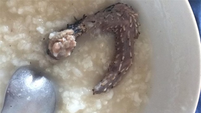 Sự thật cay mắt đằng sau bát cháo chim lổm nhổm toàn lông ông nội dành riêng cho cháu - Ảnh 1.