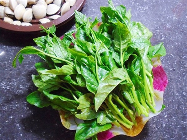 Thời tiết oi bức thế này, hãy làm ngay những món ăn, bài thuốc từ những loại rau củ quả này để giải nhiệt - Ảnh 2.