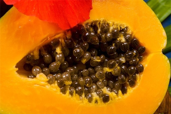 Thời tiết oi bức thế này, hãy làm ngay những món ăn, bài thuốc từ những loại rau củ quả này để giải nhiệt - Ảnh 4.