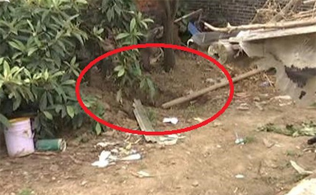 Gã đàn ông giết vợ, chôn xác trong vườn nhà suốt 5 năm mới bị phát hiện - Ảnh 1.