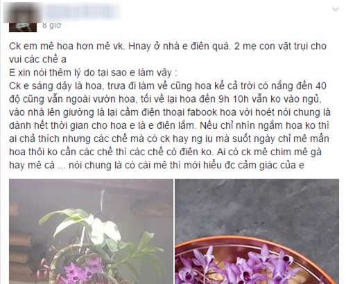 Giận chồng mê hoa hơn vợ, cô gái ghen tức vặt trụi chậu phong lan xinh đẹp của chồng - Ảnh 1.