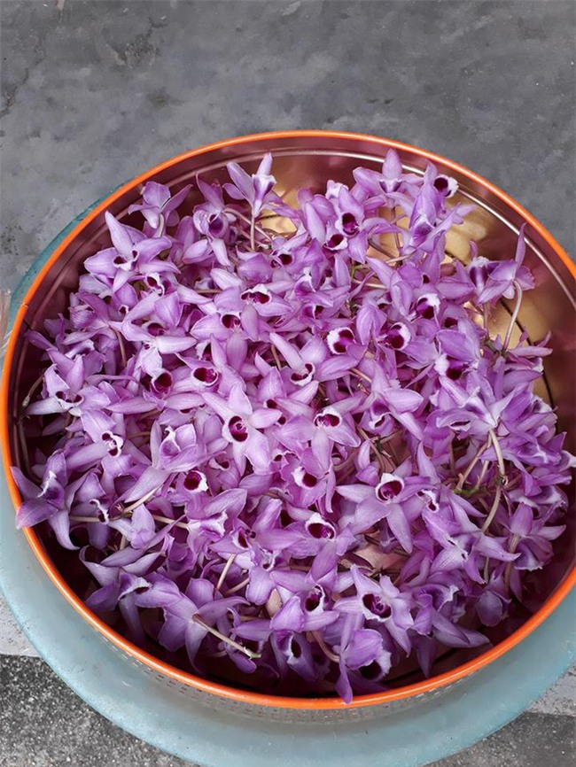 Giận chồng mê hoa hơn vợ, cô gái ghen tức vặt trụi chậu phong lan xinh đẹp của chồng - Ảnh 3.