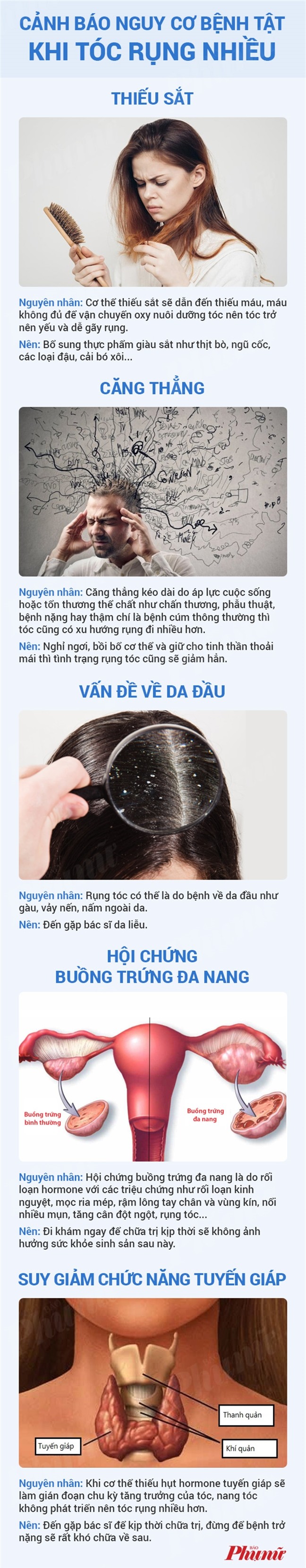 Rụng tóc nhiều bị bệnh gì? - Ảnh 1.