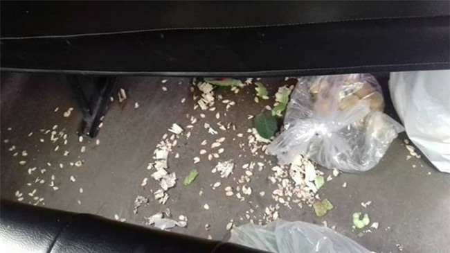 Kết thúc chuyến đi, tài xế giật mình khi nhìn những thứ còn sót lại trên xe - Ảnh 2.