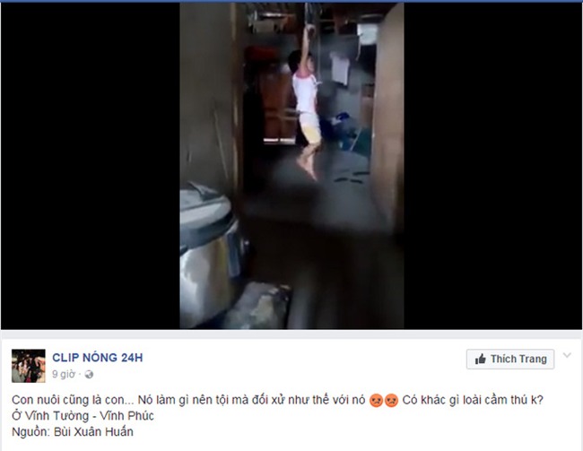 Phẫn nộ đoạn clip bé trai bị buộc 2 tay khóc thét giãy dụa trên kèo nhà - Ảnh 1.