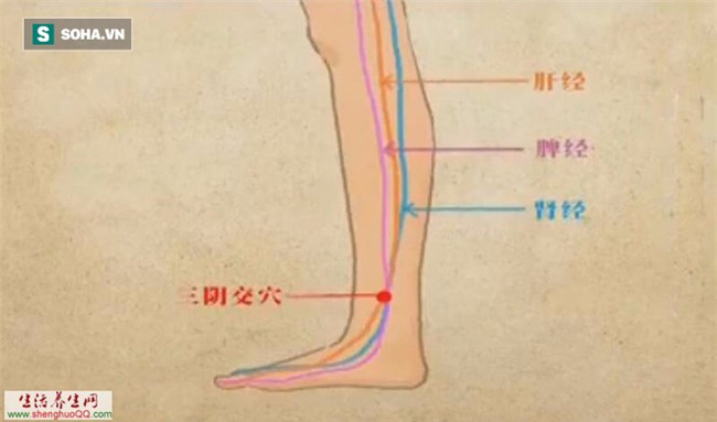 Đông y xem huyệt này là của hồi môn vô giá cha dành cho con, đừng quên sử dụng khi cần! - Ảnh 2.