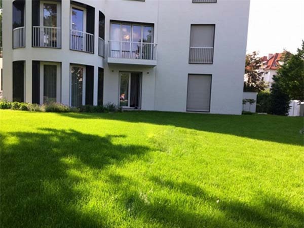 ngat ngay voi nhung biet thu