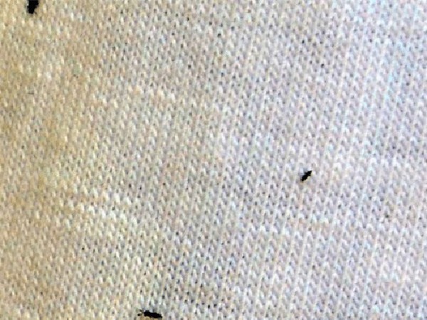 Vì sao các bà mẹ Thái Lan đều chọn khăn đơn sắc cho bé? -3