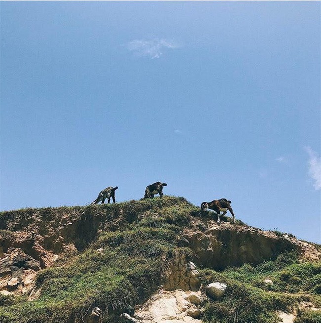 Bạn nào mê Eo Gió mà chưa đi thì hãy đọc bài viết này lấy cảm hứng lên đường nhé - Ảnh 13.