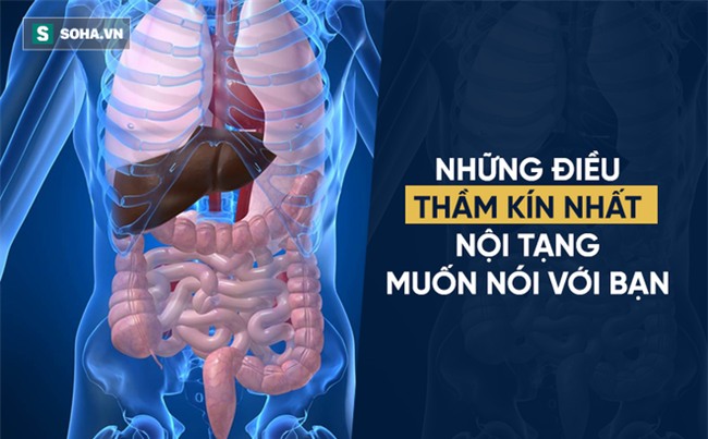 Danh y chia sẻ cách rửa sạch nội tạng: Không chỉ tôi, tất cả chúng ta đều nên làm ngay! - Ảnh 1.