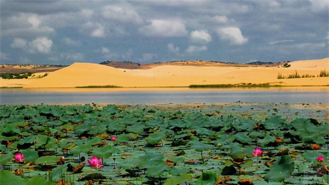 Ngẩn ngơ trước 5 đồi cát đẹp mê hồn ở miền Trung, nhìn thôi đã yêu luôn rồi - Ảnh 18.