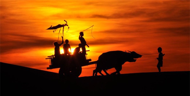 Ngẩn ngơ trước 5 đồi cát đẹp mê hồn ở miền Trung, nhìn thôi đã yêu luôn rồi - Ảnh 30.