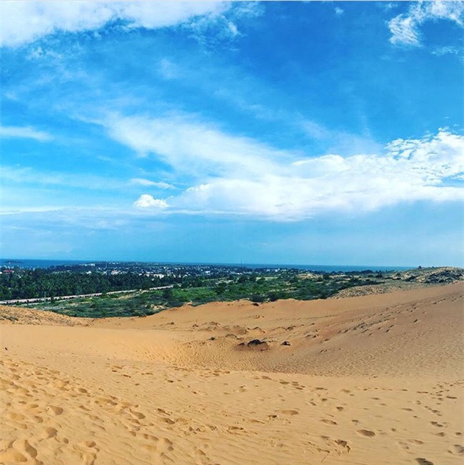 Ngẩn ngơ trước 5 đồi cát đẹp mê hồn ở miền Trung, nhìn thôi đã yêu luôn rồi - Ảnh 4.