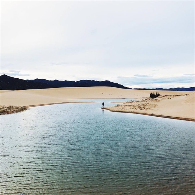 Ngẩn ngơ trước 5 đồi cát đẹp mê hồn ở miền Trung, nhìn thôi đã yêu luôn rồi - Ảnh 47.