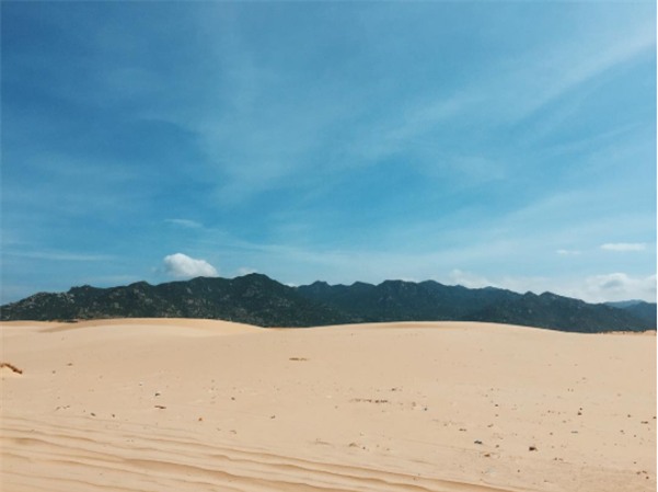 Ngẩn ngơ trước 5 đồi cát đẹp mê hồn ở miền Trung, nhìn thôi đã yêu luôn rồi - Ảnh 49.