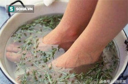 Những bài thuốc quý từ lá ngải cứu bạn nên biết để chữa bệnh mùa hè, phòng bệnh mùa đông - Ảnh 2.