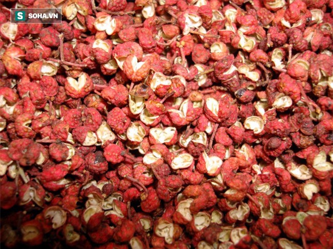 Những bài thuốc quý từ lá ngải cứu bạn nên biết để chữa bệnh mùa hè, phòng bệnh mùa đông - Ảnh 5.