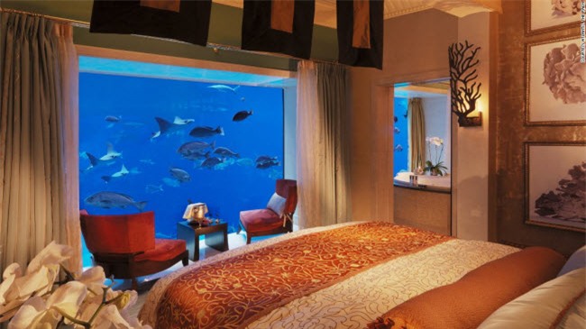 choang ngop noi that ben trong nhung khach san xa xi nhat dubai hinh anh 6