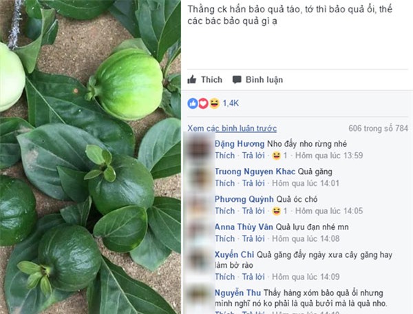 “day la qua oi hay qua tao” – cau hoi khien cu dan mang viet “lu lan” nhat hien nay - 1