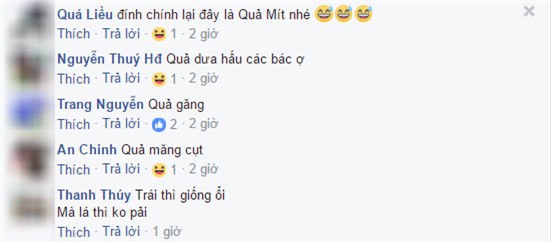“day la qua oi hay qua tao” – cau hoi khien cu dan mang viet “lu lan” nhat hien nay - 4