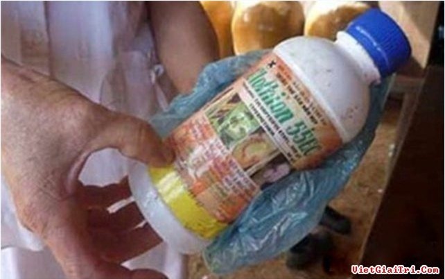 Kết quả hình ảnh cho đầu độc bằng thuốc sâu