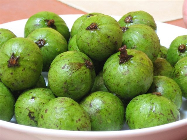 Những bài thuốc chữa bệnh siêu tuyệt vời từ quả sấu ai cũng nên biết - Ảnh 1.