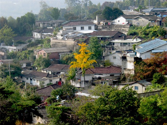 Hàn Quốc: Bố chồng giết chết con dâu người Việt - Ảnh 1.