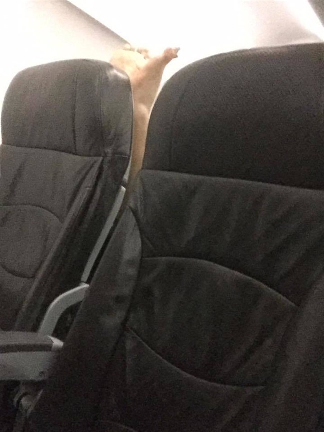 Nữ du khách Hàn Quốc tìm mọi cách đuổi người ngồi đằng trước trên máy bay để được thoải mái gác chân lên ghế - Ảnh 2.