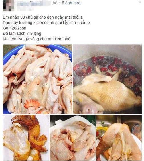 gà ri, nuôi gà, gà thải loại, giá thịt gà giảm