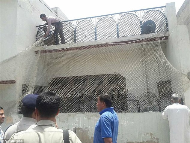 Clip: Báo hoang xông vào làng kiếm thức ăn, gây thương tích cho nhiều người - Ảnh 3.