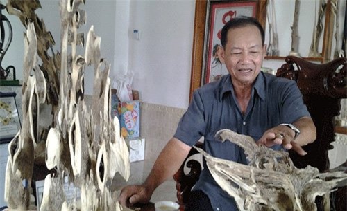 phu trầm, trầm hương, lộc trời, tìm trầm, cấy trầm