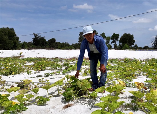 luong 2000 usd/thang o nhat cung bo ve que vi trot me nong san sach hinh anh 1