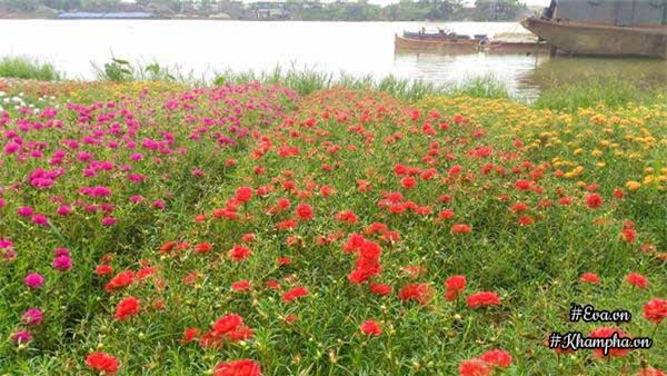 me man vuon hoa muoi gio ruc ro ven song cua chang trai hoc kien truc me hoa - 8