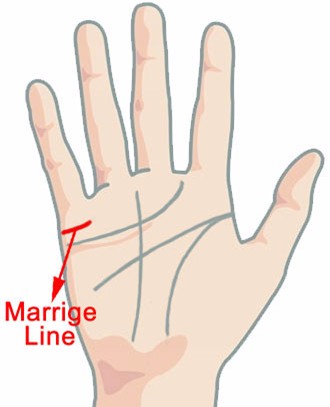 Ai sở hữu đường hôn nhân thế này, kết hôn rồi hạnh phúc ngập tràn, sự nghiệp lên như diều gặp gió - Ảnh 1.