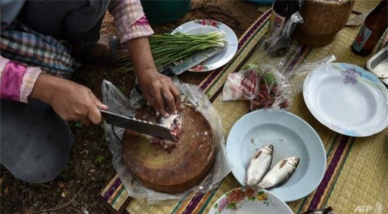 tu chuyen an ca song gay ung thu gan nen tu bo thoi quen an thuc pham song - 1